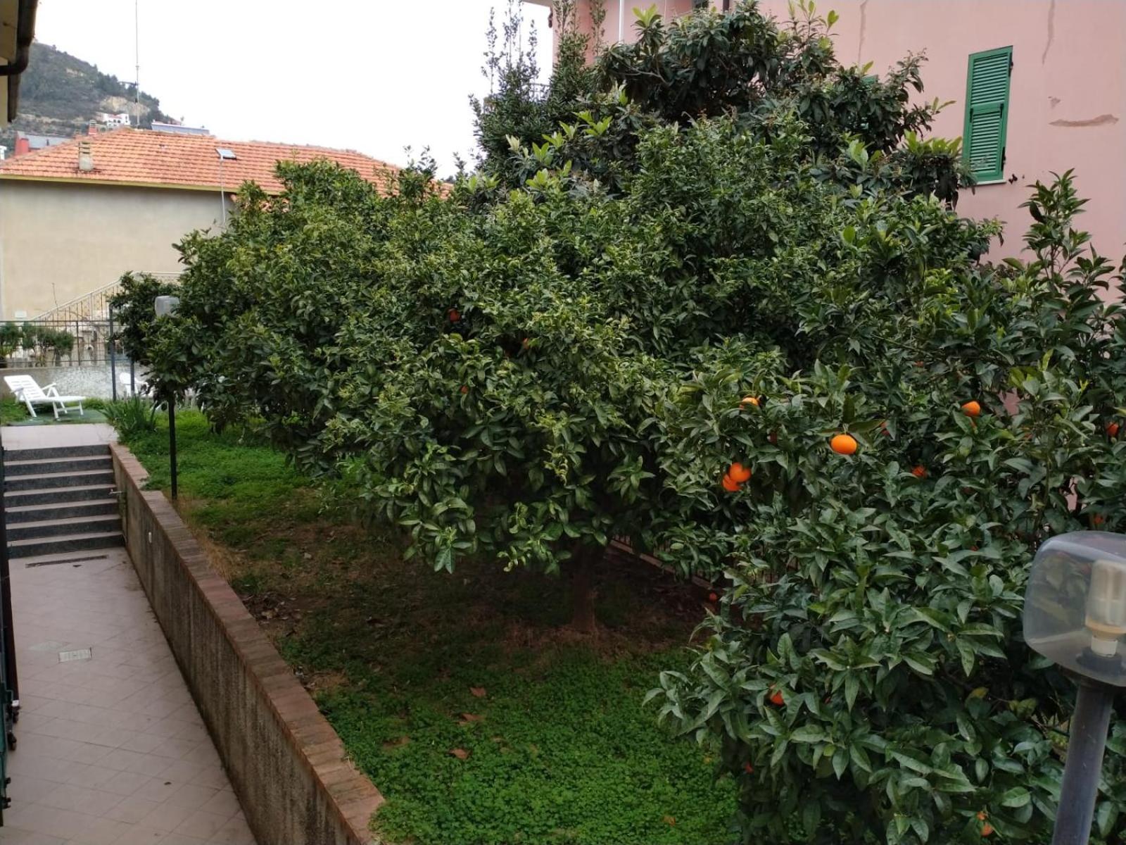 La Casa Di Cri Al Mare Due Villa Borgio Verezzi Exterior photo